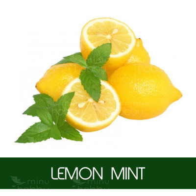 Aroomiõli Lemon MInt